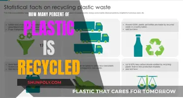 Unveiling the Recycling Reality: Plastic's Recycled Potential