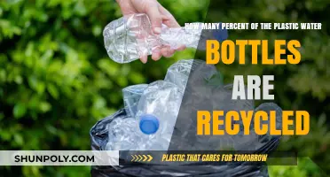 Recycling Crisis: Shocking Truth About Plastic Water Bottle Recycling Rates