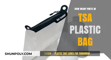 TSA Plastic Bag Limits: Pints Allowed for Carry-On Liquids