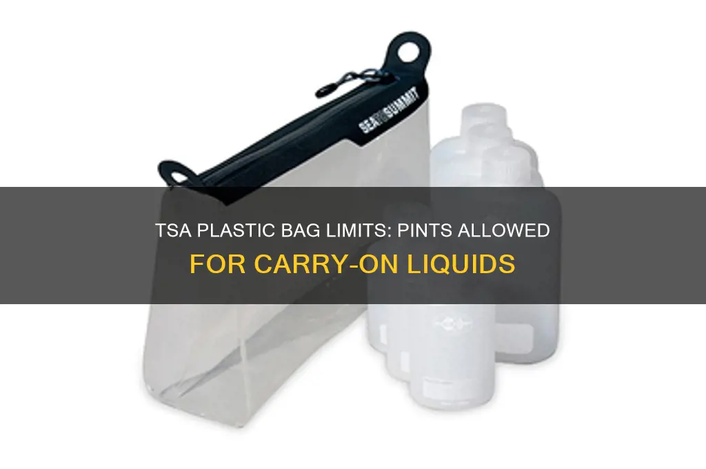 how many pints in tsa plastic bag