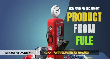 The Dark Side of Fuel: Plastic Pollution