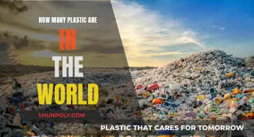 The Plastic Crisis: A Global Plastic Pollution Overview