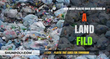 Shocking Truth: Plastic Bags Overwhelming Landfills Worldwide