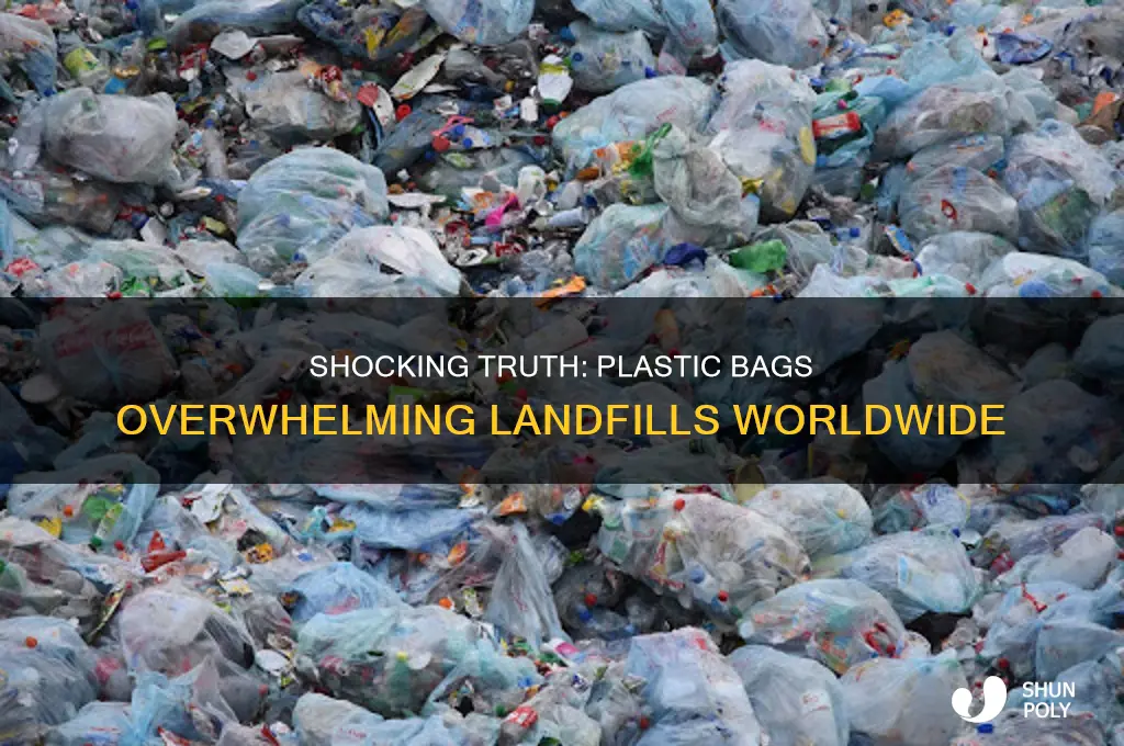 how many plastic bags are found in a land fild