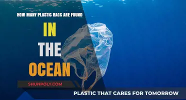 Ocean's Plastic Crisis: Counting the Bags Polluting Our Seas