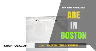 Boston's Plastic Bag Count: Uncovering the City's Environmental Impact