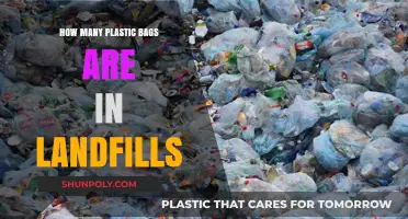 The Shocking Truth About Plastic Bags in Landfills