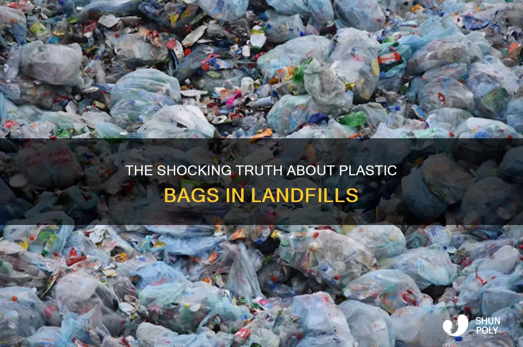 how many plastic bags are in landfills