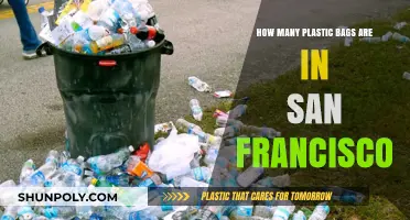 San Francisco's Plastic Bag Pollution: Counting the Environmental Impact