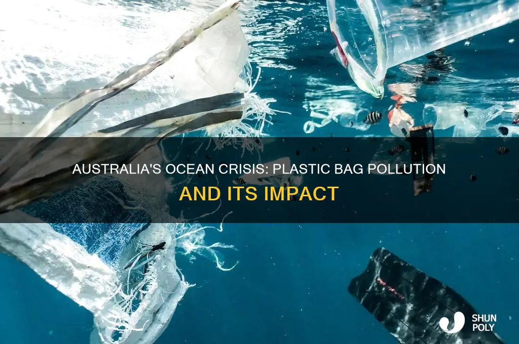 how many plastic bags are in the ocean australia