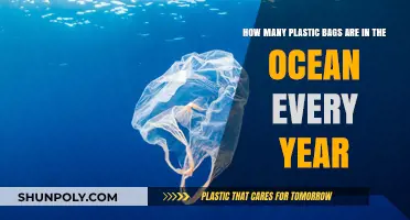 Ocean's Plastic Crisis: Annual Bag Pollution Revealed