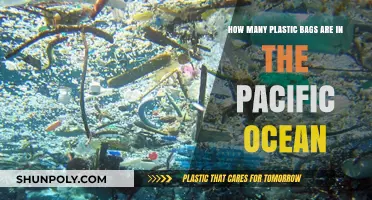 Plastic Bag Pollution: The Shocking Reality in the Pacific Ocean