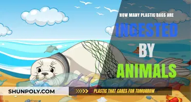 Plastic Bag Pollution: How Many Animals Ingest Them Annually?