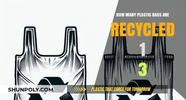 Unveiling the Truth: Plastic Bag Recycling Rates and Environmental Impact