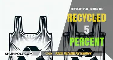 Shocking Truth: Only 5% of Plastic Bags Are Recycled Globally