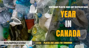 Canada's Annual Plastic Bag Recycling: How Many Are Recycled?