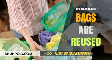 Reusing Plastic Bags: Uncovering the Surprising Truth About Their Second Life