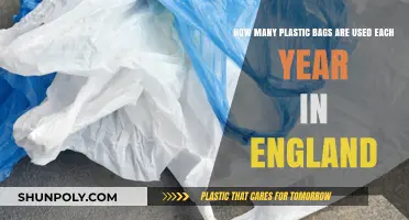 England's Plastic Bag Usage: Annual Consumption and Environmental Impact
