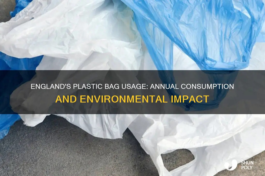 how many plastic bags are used each year in england