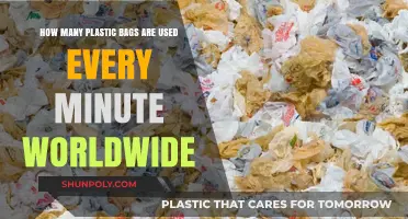 Global Plastic Bag Usage: A Minute-by-Minute Environmental Crisis