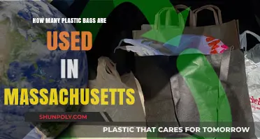 Massachusetts' Plastic Bag Usage: A Startling Environmental Reality