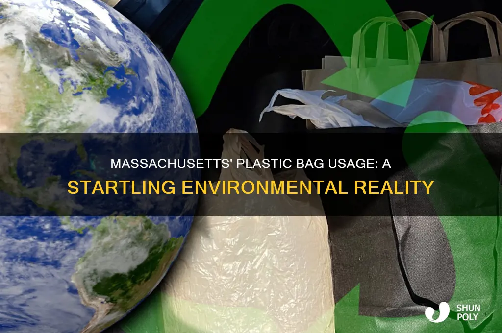 how many plastic bags are used in massachusetts