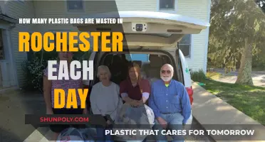 Rochester's Daily Plastic Bag Waste: A Shocking Environmental Reality