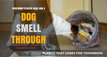 Canine Sniffing Power: How Many Plastic Bags Can Dogs Detect?