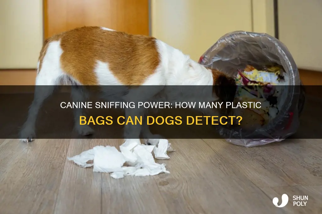 how many plastic bags can a dog smell through