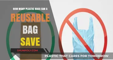 Reusable Bags: The Eco-Friendly Solution to Plastic Bag Waste