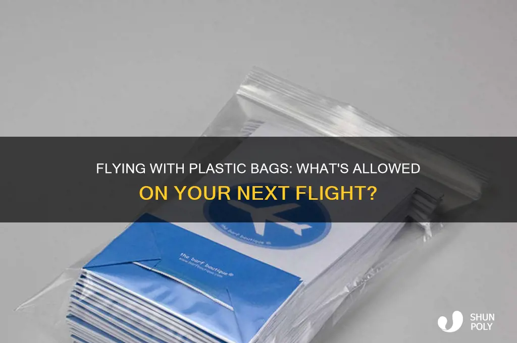 how many plastic bags can i take on a plane