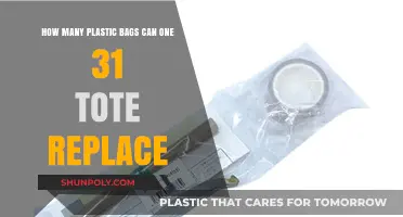Eco-Friendly Swap: How One 31 Tote Replaces Countless Plastic Bags