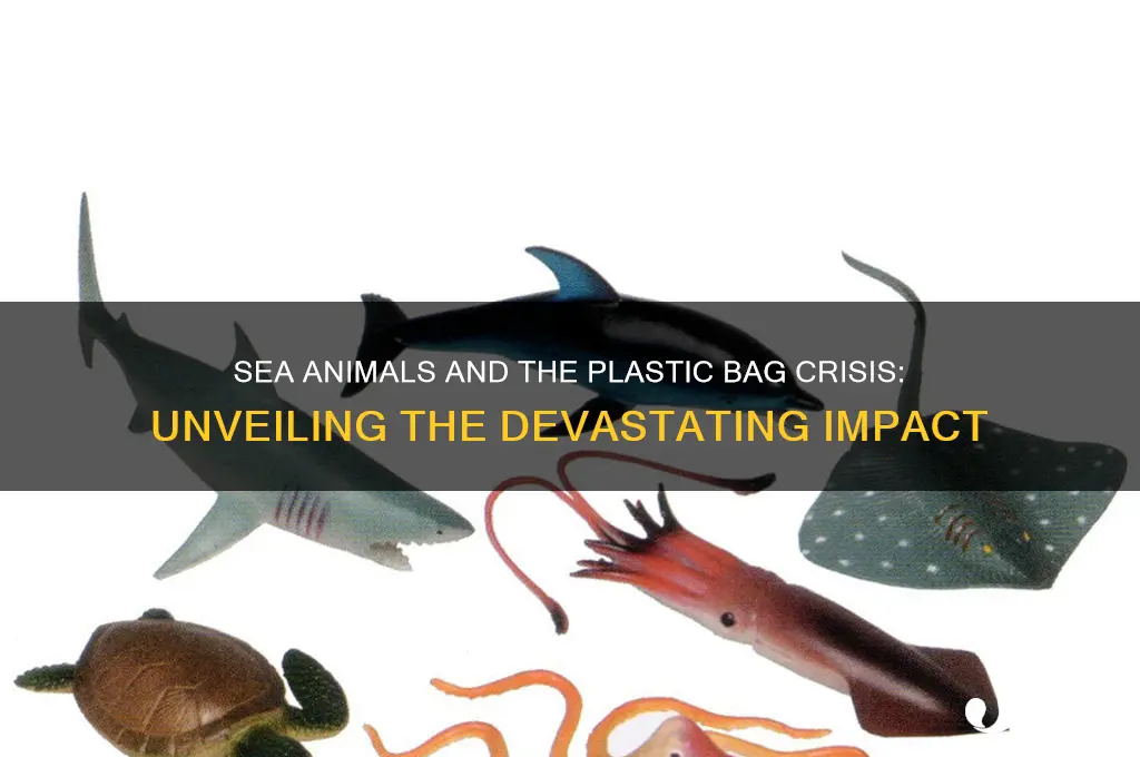 how many plastic bags do sea animals cancel
