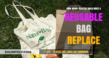 Reusable Bags: The Eco-Friendly Alternative to Countless Plastic Bags