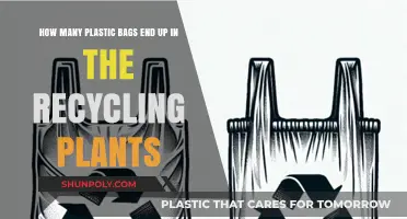 Plastic Bag Recycling: Unveiling the Shocking Truth About Landfill Diversion