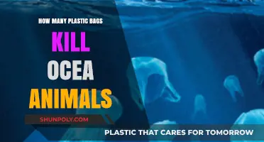 Plastic Bags in Oceans: Deadly Threat to Marine Life