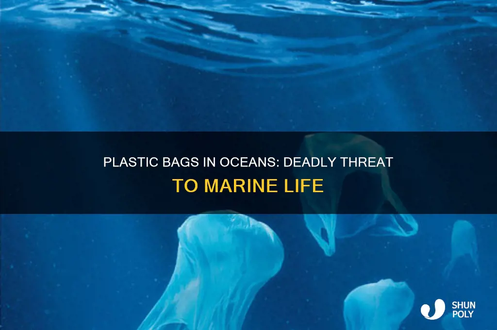 how many plastic bags kill ocea animals