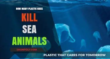 Plastic Bags in Oceans: Deadly Threat to Marine Life Explained