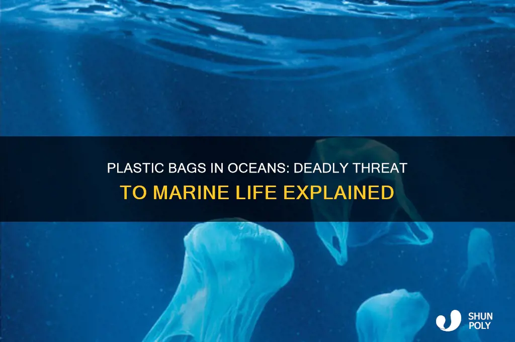 how many plastic bags kill sea animals