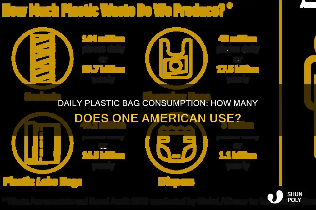 how many plastic bags one american consume one day