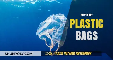 Reducing Plastic Bag Use: Understanding the Environmental Impact and Solutions