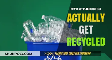 The Shocking Truth About Plastic Bottle Recycling Rates
