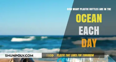 Daily Ocean Plastic Crisis: Bottles Polluting Our Seas Every Day
