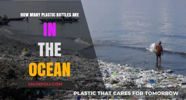 Plastic Bottles in the Ocean: A Shocking Environmental Crisis