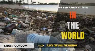 Global Plastic Bottle Crisis: Counting the World's Accumulated Waste