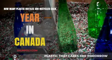 Canada's Annual Plastic Bottle Recycling: A Comprehensive Overview