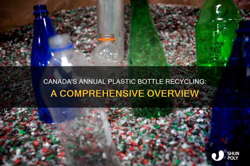 how many plastic bottles are recycled each year in canada