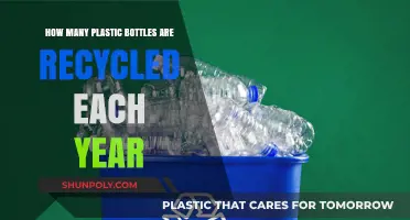 Annual Plastic Bottle Recycling: How Many Bottles Get a Second Life?