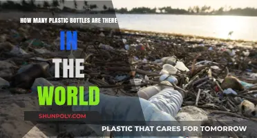Global Plastic Bottle Crisis: Counting the World's Accumulated Waste