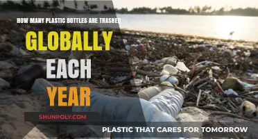 Global Plastic Bottle Waste: Annual Trashing Statistics Revealed